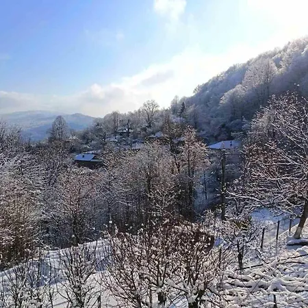 къща тодо̀рица Case de vacanță *