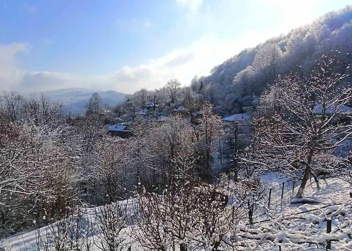 къща тодо̀рица Tatil Evi *